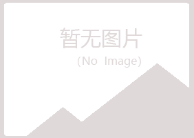 黑山县残缺制造有限公司